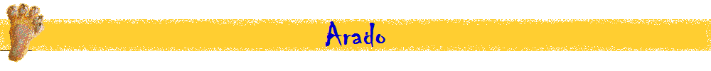 Arado