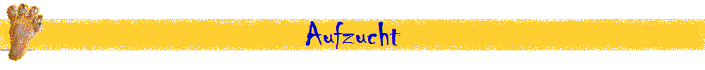 Aufzucht