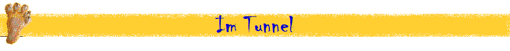 Im Tunnel