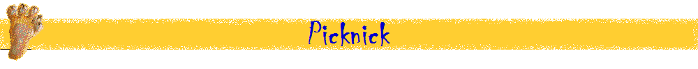 Picknick