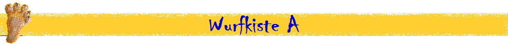 Wurfkiste A