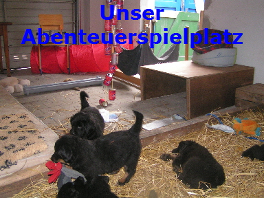 Unser
Abenteuerspielplatz